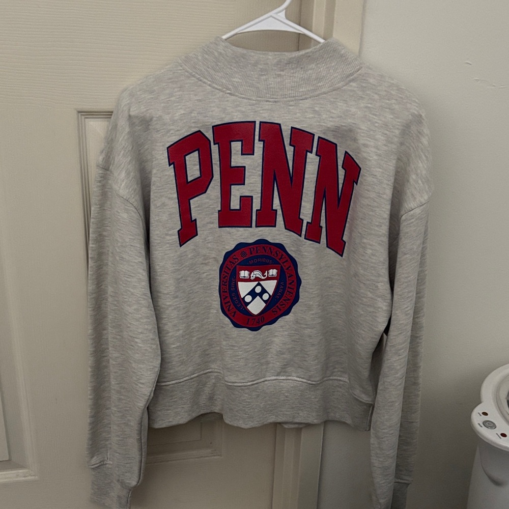 Chicka-d Cropped Penn Sweatshirt - perfect condition and never worn!